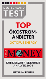 Focus Money Top Ökostromanbieter Kundenzufriedenheitsanalyse 2024